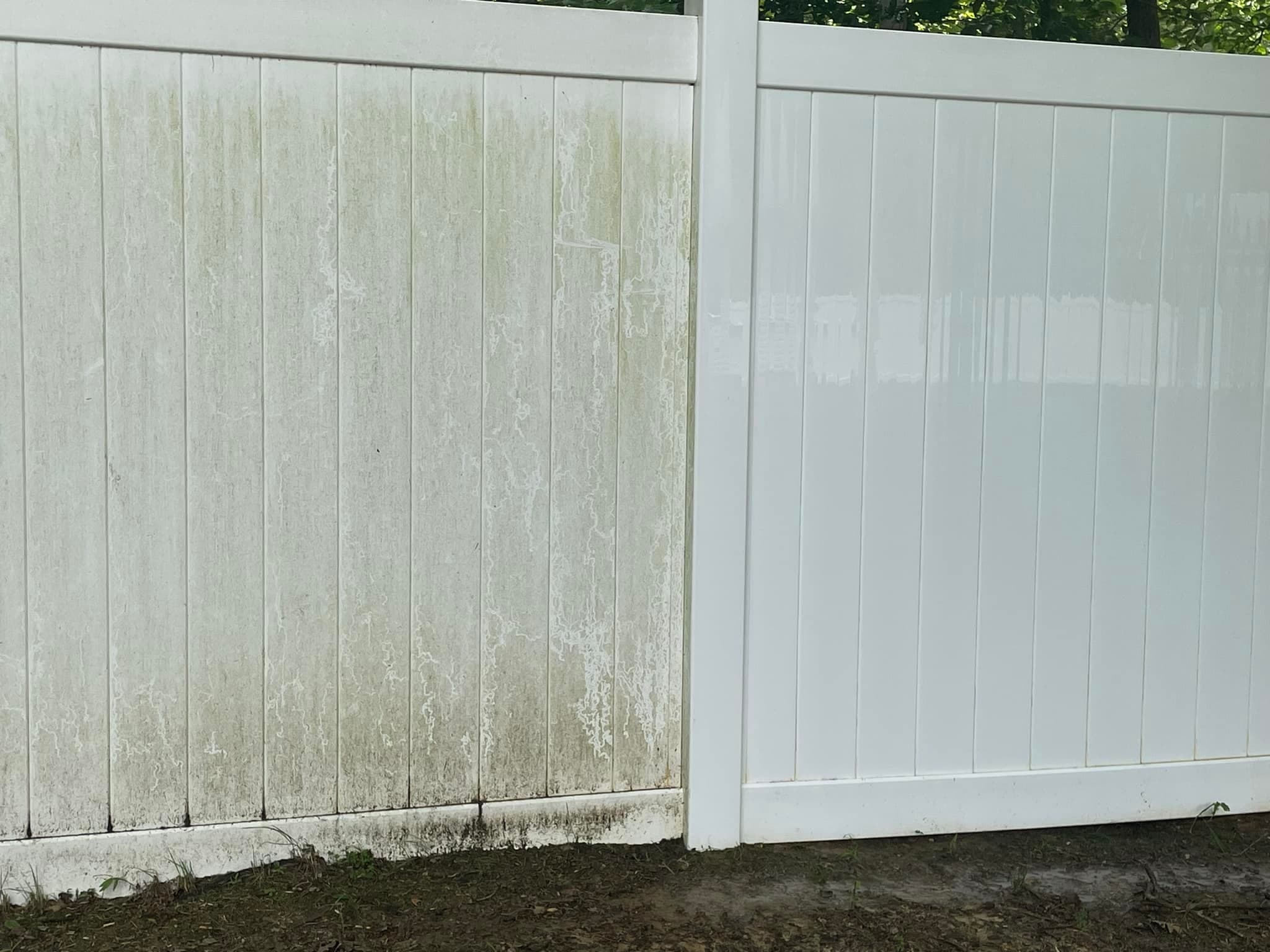 Fence cleaned with moss removed